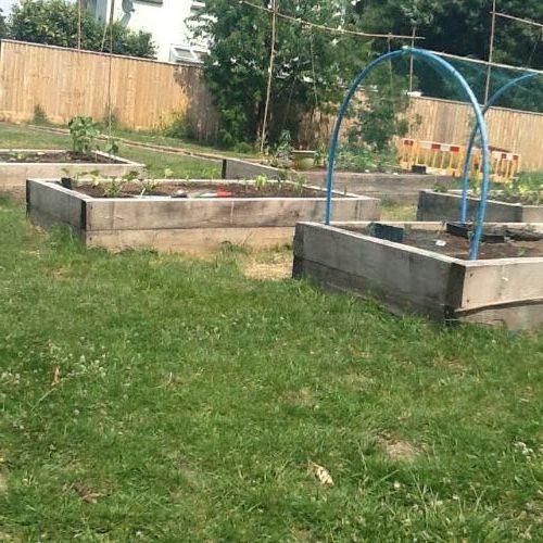 Gardening Update
