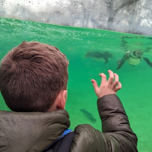 LondonZoo