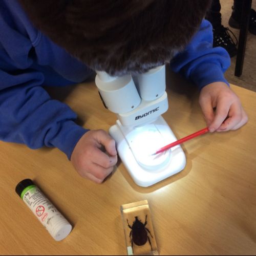 ScienceClub-January20221