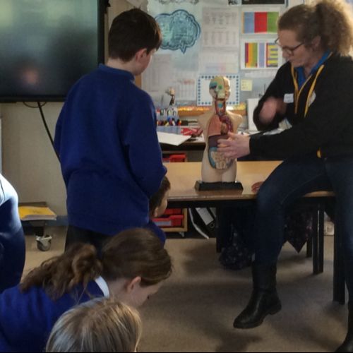 Science Club - January 2022