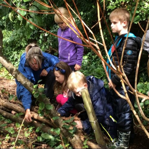 Forest Schools
