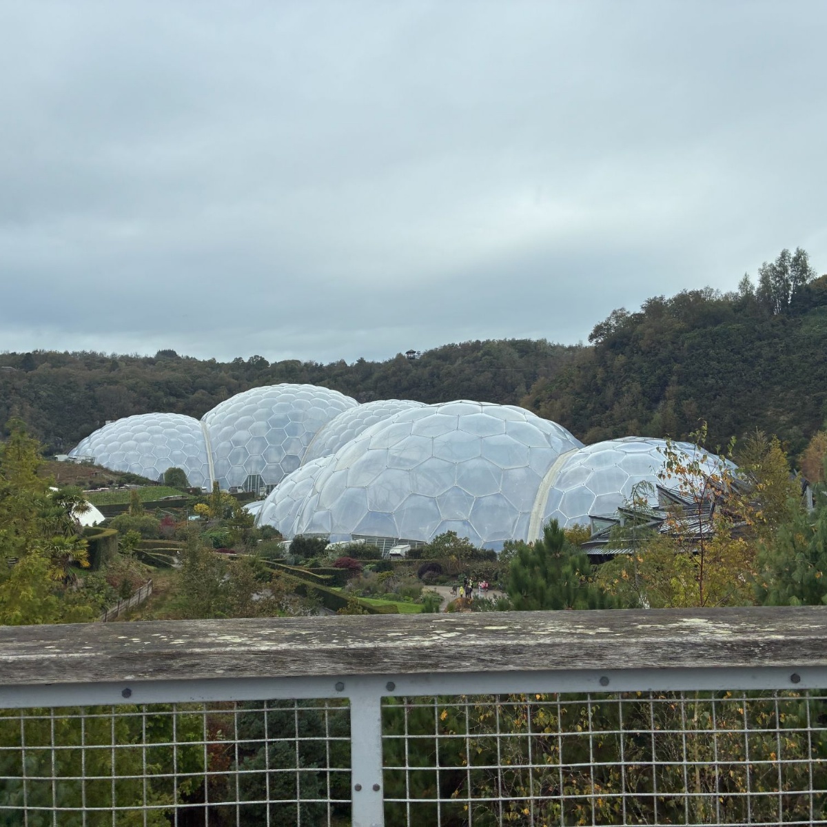 Pilton Bluecoat C of E Academy - The Eden Project